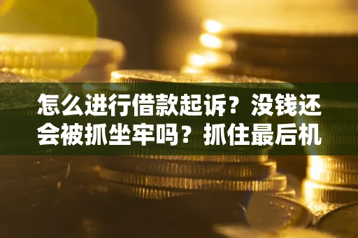 济南怎么进行借款起诉？没钱还会被抓坐牢吗？抓住最后机会！