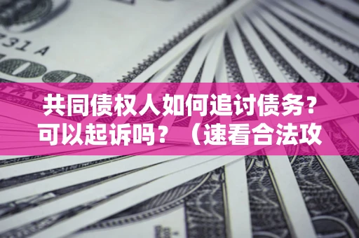 济南共同债权人如何追讨债务？可以起诉吗？（速看合法攻略）