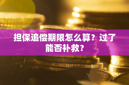 济南担保追偿期限怎么算？过了能否补救？